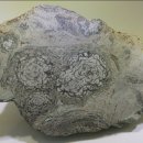 청송수석꽃돌박물관 이미지