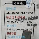 헬릭스동물메디컬센터 이미지