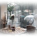 작은여우비 이미지