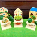 김해목재문화박물관 이미지