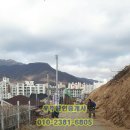 정순임 농가 이미지