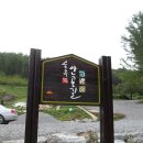 나무그래픽 이미지