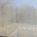 동림1리 이미지