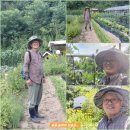 촌부의 단상-농부의 하루, 농부의 모습 이미지