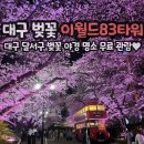 맘스터치 두류점 | 대구 이월드 83타워 벚꽃 실시간 개화 현황 이월드 할인 26년 3월 28일 만개