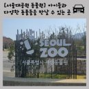 코뿔소식당 이미지