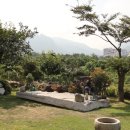 최가구이 이미지