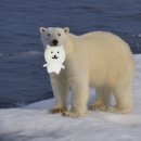 우리산장 이미지