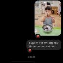 훈장님의꿀단지 이미지