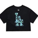 MLB동해