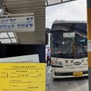 그린나래 태권도 시범단 이미지