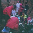 개나리공원3 이미지