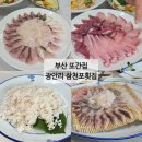삼천포 | 부산 광안리 회센터 또간집 삼천포횟집 내돈내산 후기
