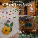 뜰세탁 | 청주 에코프린팅 체험 윤하의뜰 손수건 만들기 후기