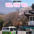 너릿재길2 이미지