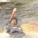 브라운치킨 이미지