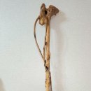*감태나무 연수목/청려장 지팡이 이미지