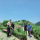 7월9일 전남 고흥 쑥섬ㆍ나로우주센터 이미지