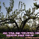 혜영농장 이미지