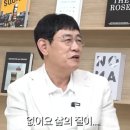 이경규 카카오 검색결과