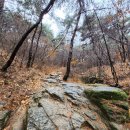 송학리마애여래좌상 | [경상북도][경주] 남산 불곡 마애여래좌상