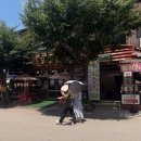 버들 | 예산 수덕사 맛집 버들식당 솔직후기 더덕산채정식,산채비빔밥