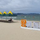 포항 송도해수욕장 이미지