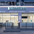 금산헤르쯔 동물병원 | 성남 수내동 동물병원 분당헤르쯔동물병원 진료시간 접근성 이용후기