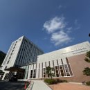 석정사슴 | [고창] 전라도 8월 가성비 숙소 추천 , 고창 웰파크 호텔 (베리어프리 더블룸 후기)