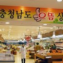 청양프로폴리스