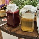 티아포테카(tea apotheca) | [카페] 티아포테카 #옥산티맛집 #청주카페