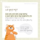 고강동물병원 이미지