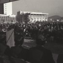 자유시장 이미지