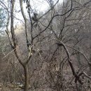 치악산둘레길 1코스 꽃밭머리길 이미지