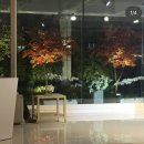 상록구청 상록구시민홀 | 서울 밝은홀 단독홀 뷔페 27년 견적 모음 / 더베르지...그랑데센트로, 상록아트홀, 루이비스컨벤션 강서점