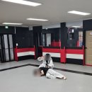 다부진 합기도 이미지