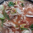 이천순대국밥(본) | 대전 순대국 맛집 오문창 순대국밥 먹어본 솔직후기