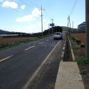 서귀포시 대정읍 동일리 대정농공단지 동북측 원거리 진입로로 사용중인 토지 12평 - 제주도 부동산 서귀포 토지 경매 이미지