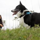 호텔 우디 이미지