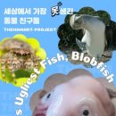 더함아트미술교습소
