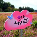 자연농원(송이)