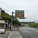 담양 가볼만한 곳 대나무 숲 담양10경 죽녹원 후기
