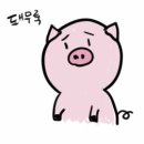 매드짐 이미지