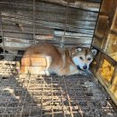 금비농장 이미지