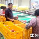 청송농협 APC 이미지