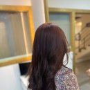 셰어벨 이미지