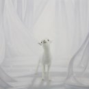 antic and  이미지