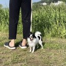 아우우(Aww) 이미지