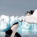 범고래PC 이미지