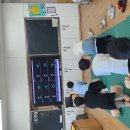 (학교)경포초 이미지